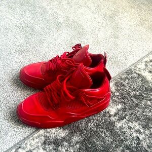 Fairly used Jordan 4 11 lab